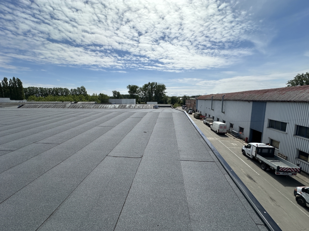 Derbitwin NT donkergrijs 02