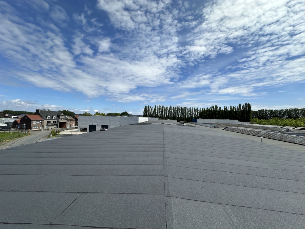 Derbitwin NT donkergrijs 03