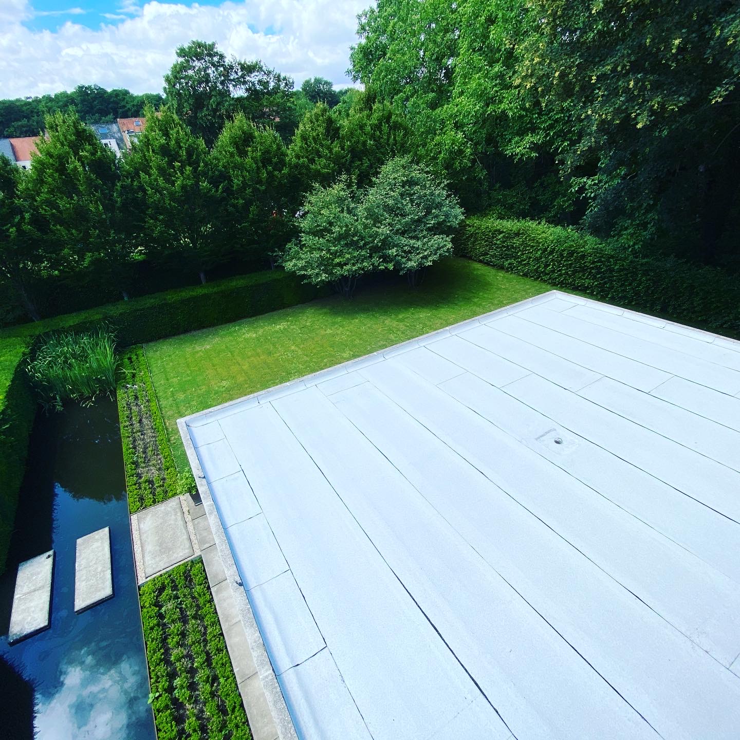 Derbicolor FR wit 03