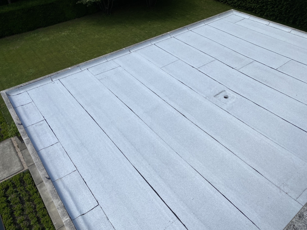 Derbicolor FR wit 06